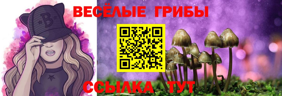 Псилоцибиновые грибы ЛСД Верхний Уфалей